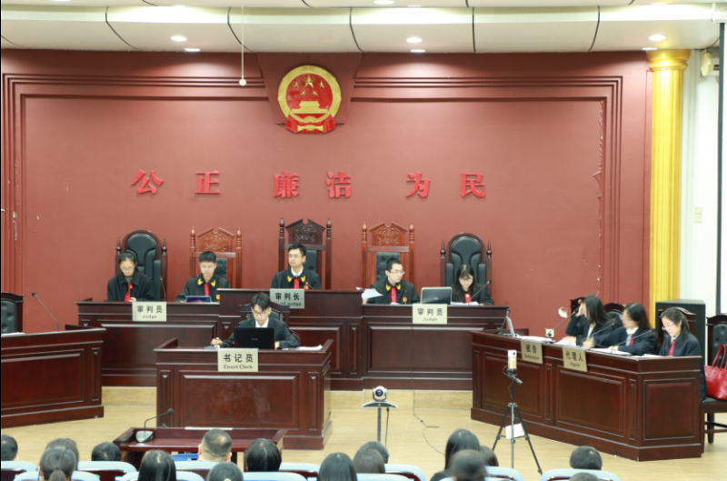 示范法院第二期庭审及复盘